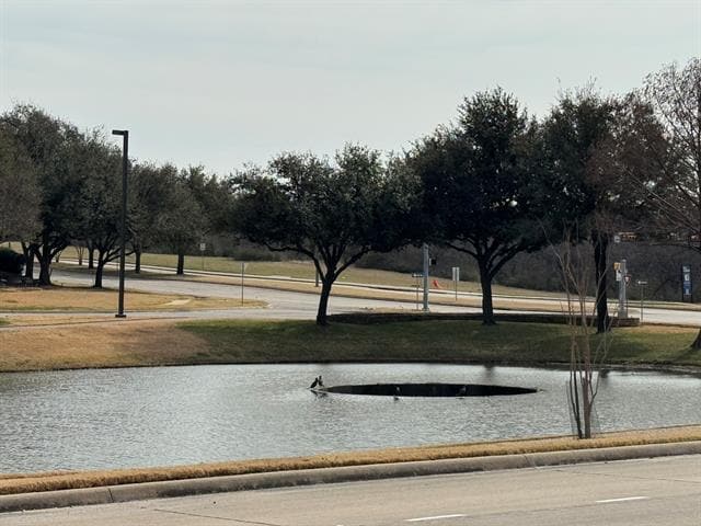 Building Photo - 6435 Las Colinas Blvd