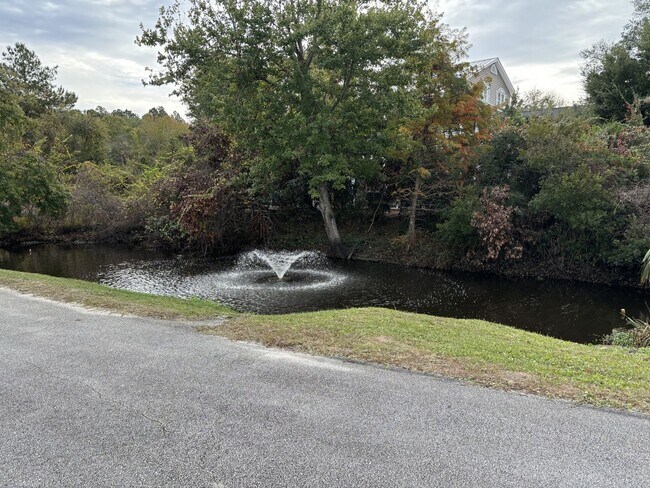Building Photo - Beautiful home in Emerald Isle.