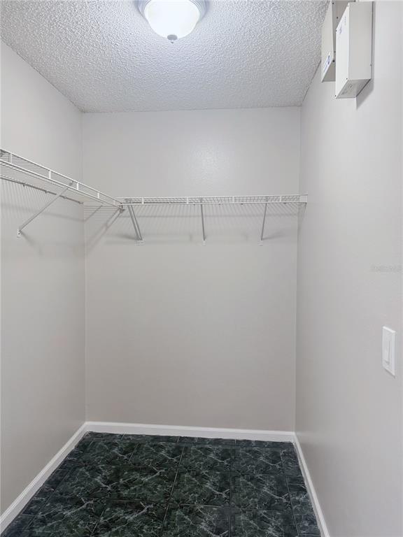 Building Photo - 2342 Lily Pad Ln