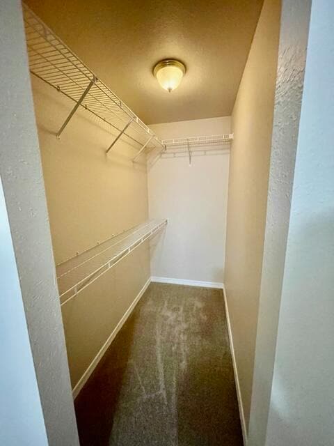 Building Photo - 1109 Tiki Too Ave