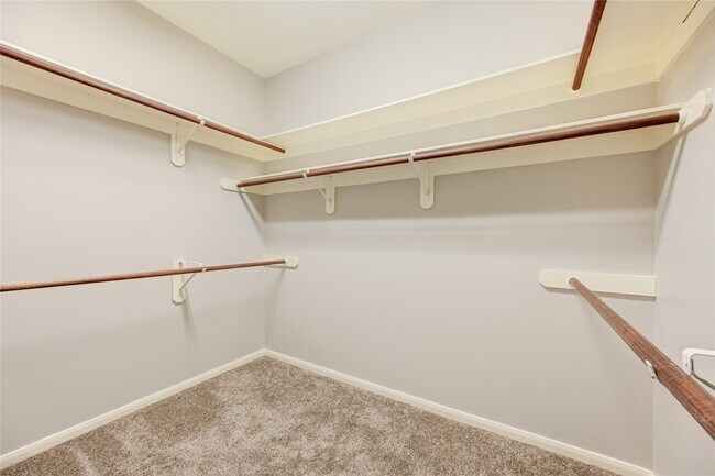 Building Photo - 2935 Apple Forest Ct