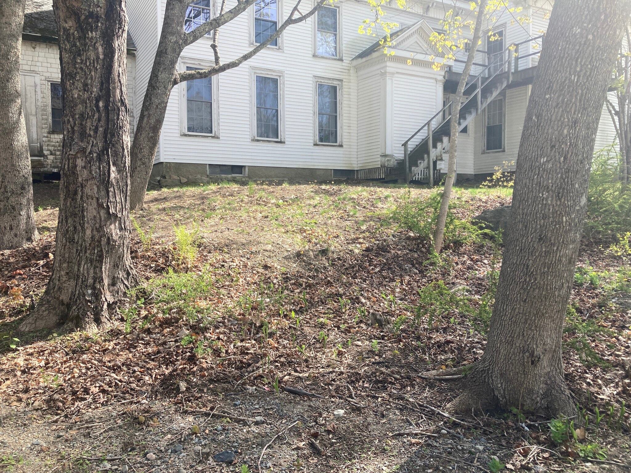 34 O'Brien Ave. North side - 34 Obrien Ave
