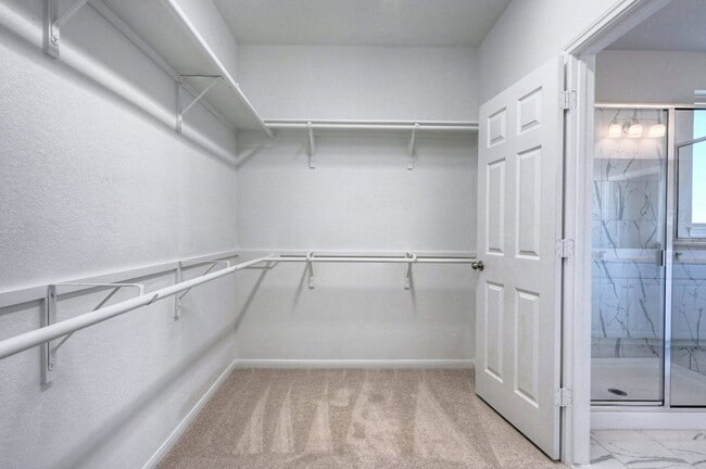 Building Photo - Blue Abbot Drive, Fresno, TX 77545 - 4 BR 2.5 BA single-family home