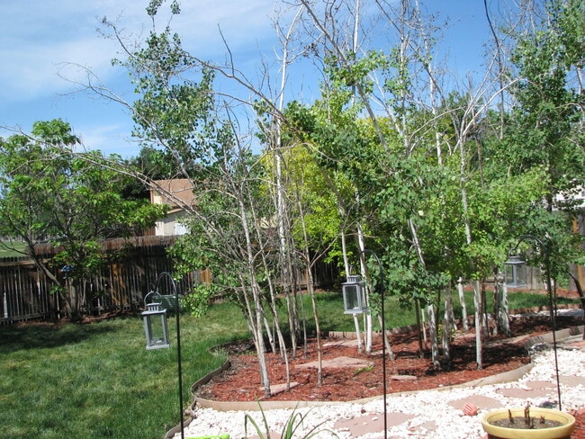 Building Photo - Stunning 3 Bedroom/ 3 Bath Home With Large Backyard!