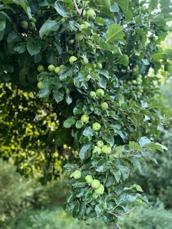 Building Photo - 2115 U.S. Hwy 2 E