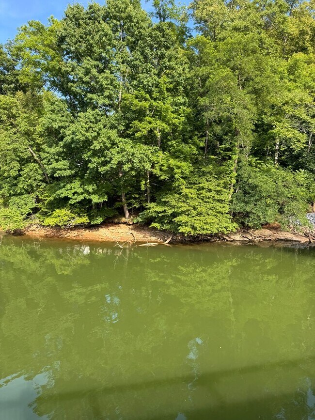 Building Photo - 3 Bedroom || 3.5 Bathroom - Lakefront Townhome