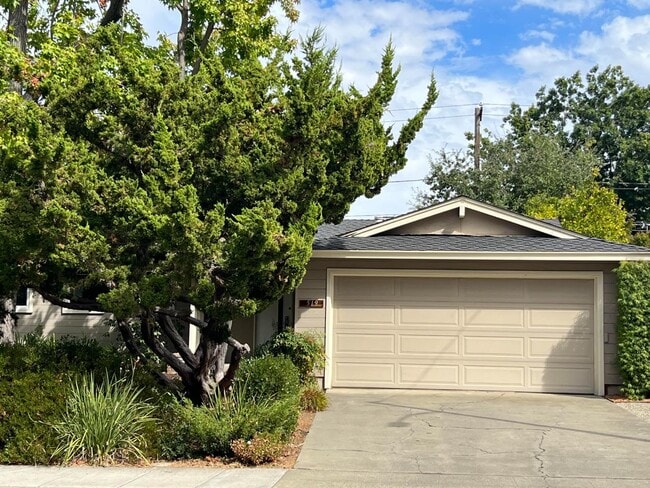 Building Photo - 519 Drucilla Dr