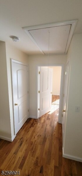 Building Photo - 56 Race St