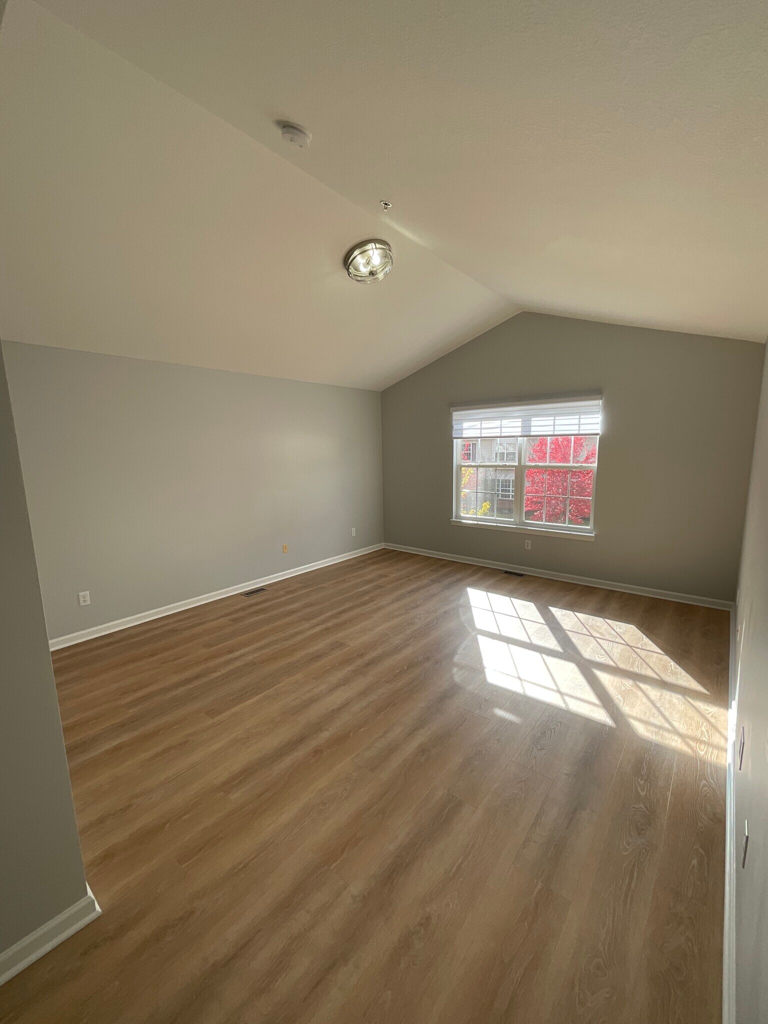 Building Photo - 28957 Cullen Dr