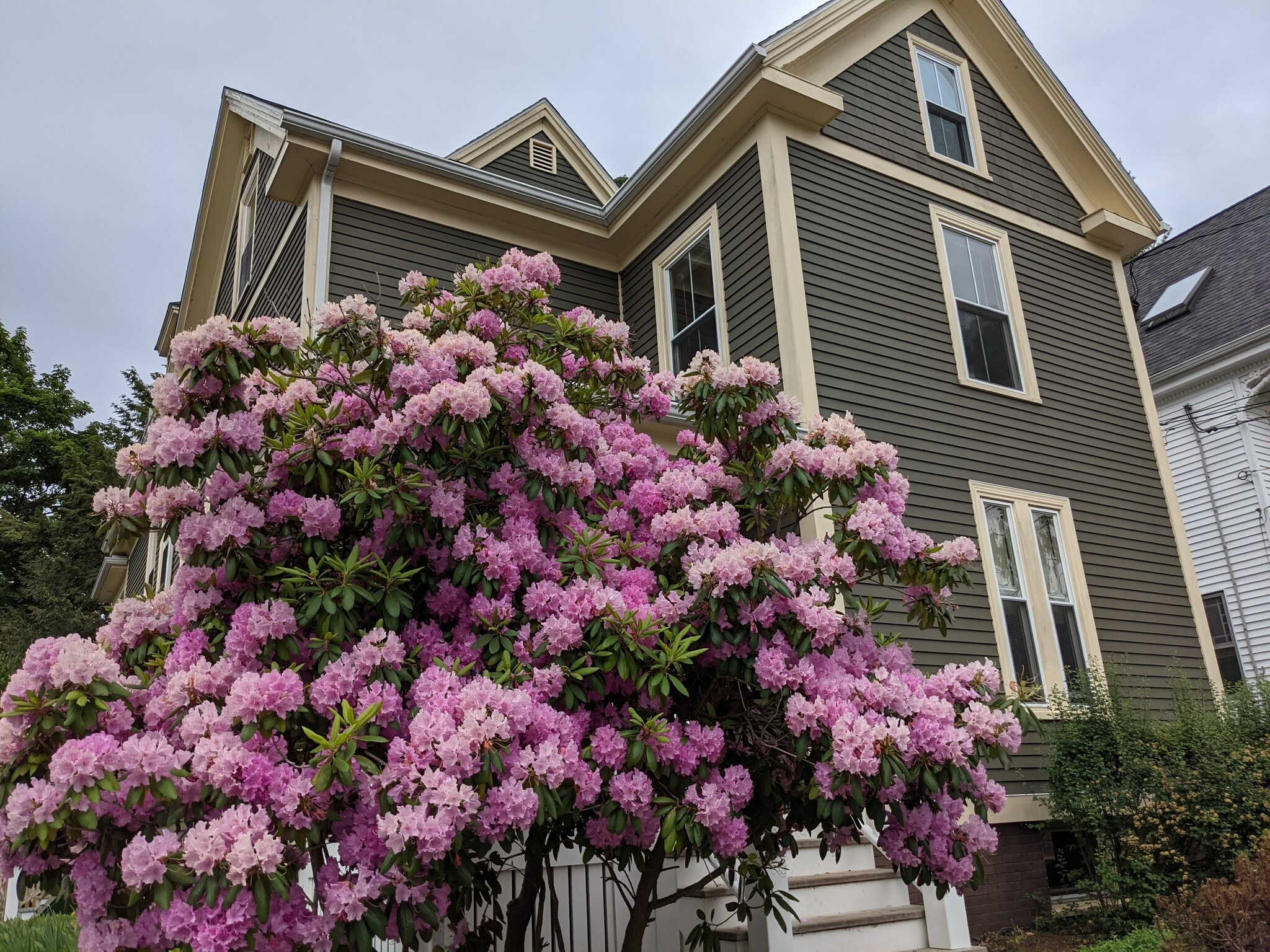 Building Photo - 56 Rackleff St