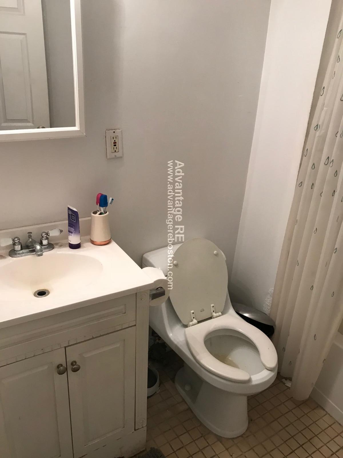 Building Photo - 62 Egmont St