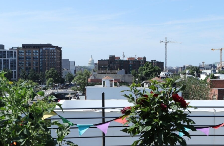 Shared rooftop deck and garden - 1510 N Capitol St NW