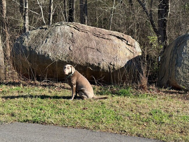 Building Photo - End-Unit Cornelius Townhome | 3BR + Flex Room | Fenced Courtyard | Near Birkdale & Greenway