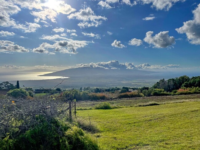 Building Photo - Quiet upcountry Studio Ohana in upper Kula