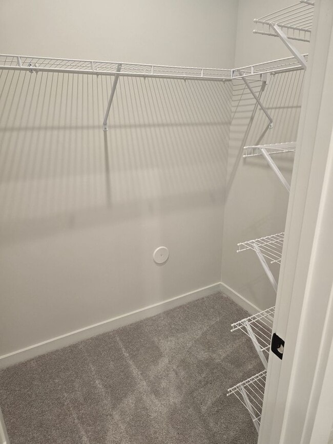 Building Photo - Beautiful New Constuction 3BR/2.5BA Townhouse