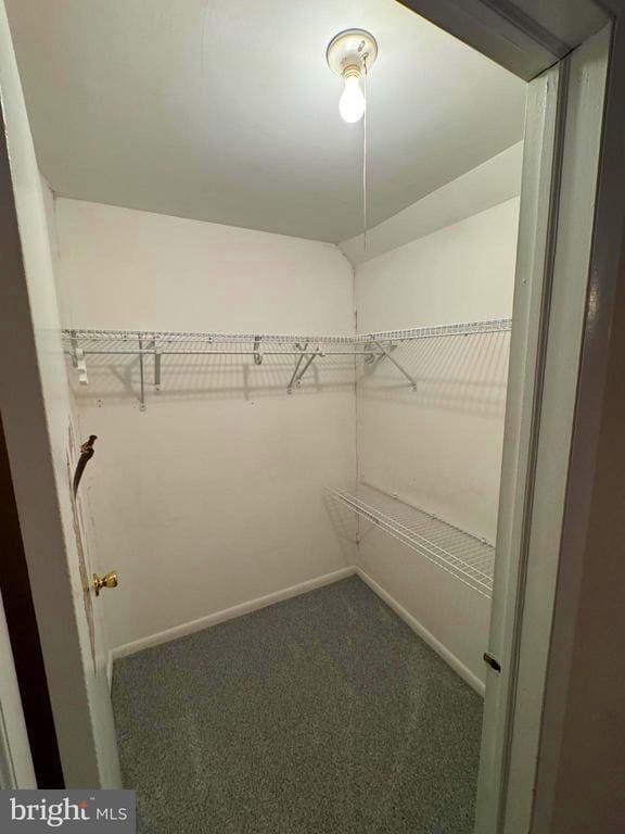 Building Photo - 25 Abel Pl