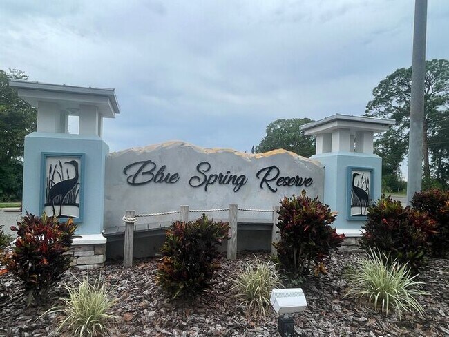Building Photo - Coming Soon!!!-Blue Springs Reserve-180 Glass Onion Dr Groveland, FL 34737