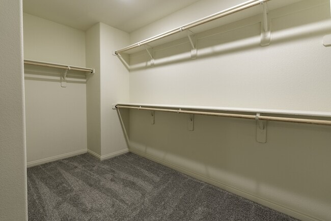 Building Photo - 4519 Merlot Hls Ave