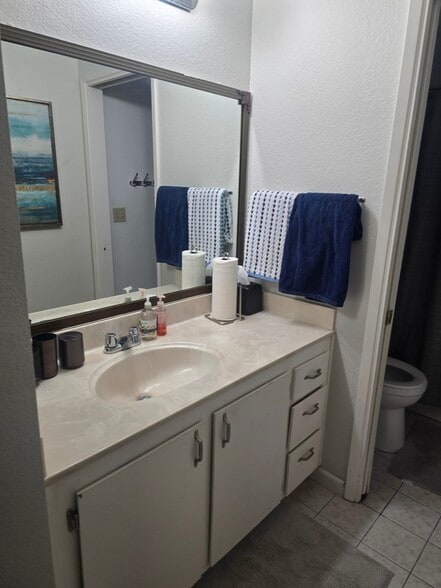 Bathroom 2 - 1000 Evergreen Ter