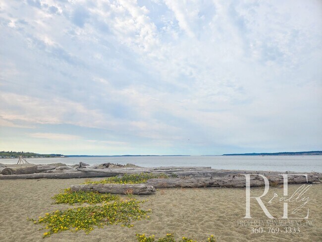 Building Photo - Private Beach Access – Bright, Breezy Livi...