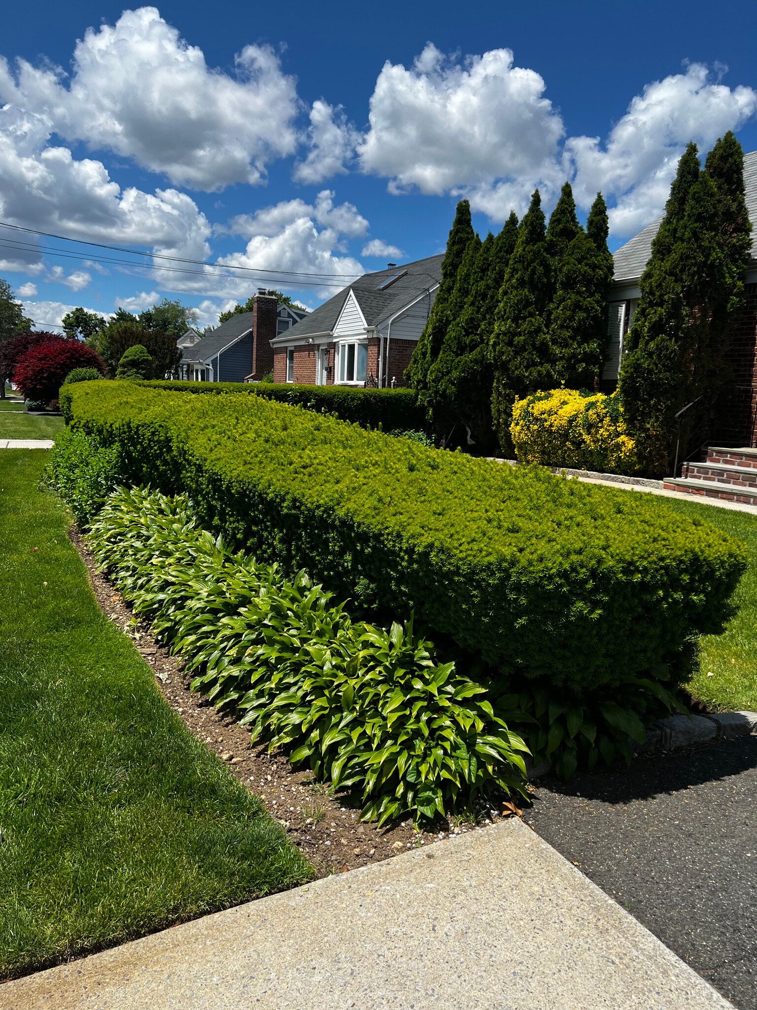 Grounds Maintained / Snow Removal - 2457 4th Ave