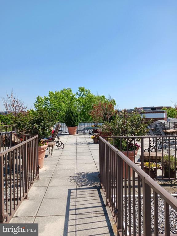 Building Photo - 2500 Q St NW