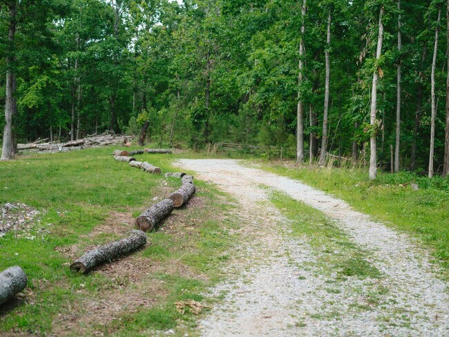 Building Photo - 10583 Two Girls Ln