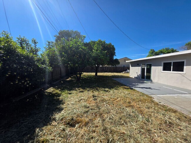 Building Photo - Remodeled Single Story in College neighborhood!