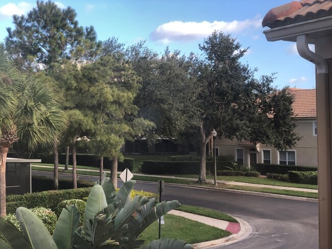 Outside Walk Way - 3602 Shallot Dr