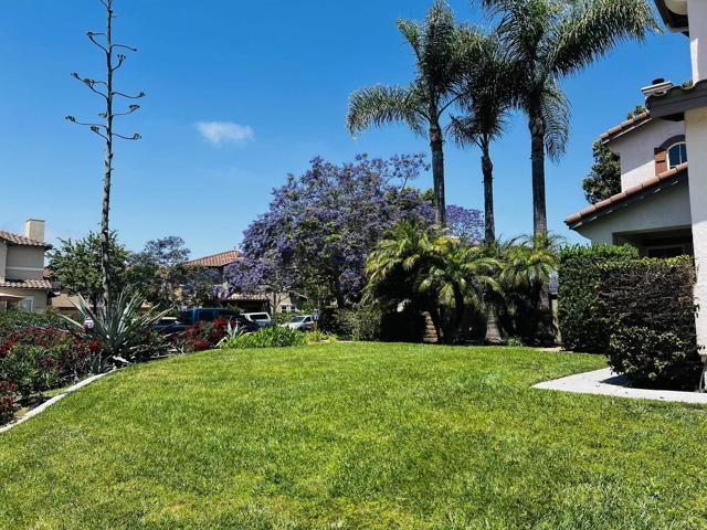 Building Photo - 6033 Paseo Hermosa