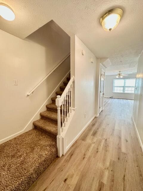 Building Photo - 209 Swaying Pine Ct