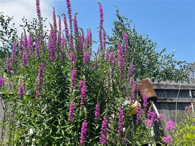 Primary Photo - 558 Connecticut Ave