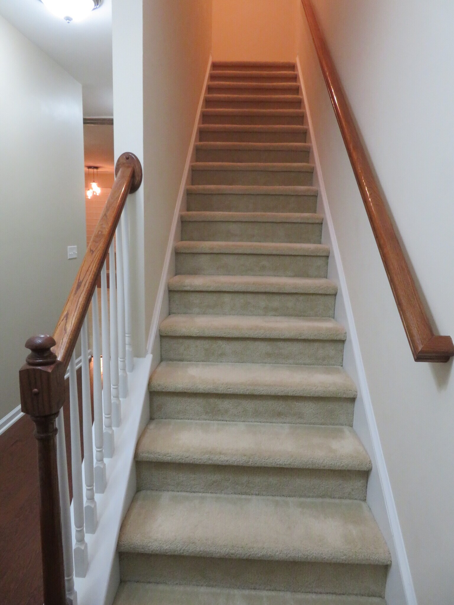 Carpeted stairs to 2nd Floor - 2496 Stadium Dr