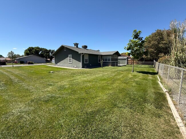 Building Photo - Green House