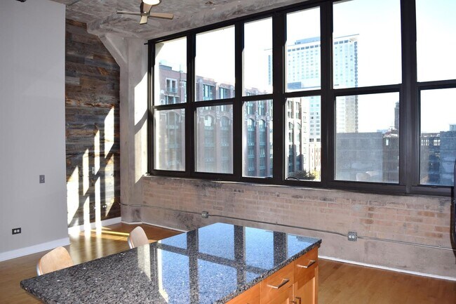 Building Photo - South Loop Chicago 1 Bed 1 Bath Apartment