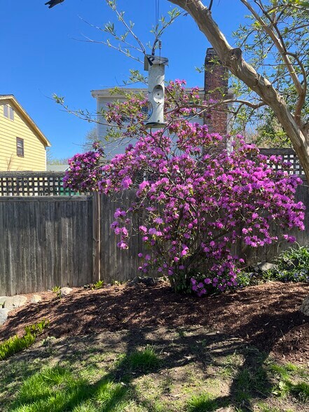 Garden - 35 Lincoln Ave