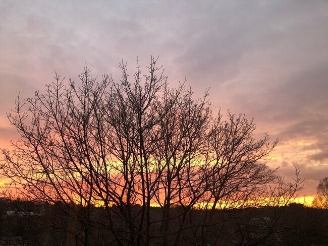 Building Photo - 318 Tappan St