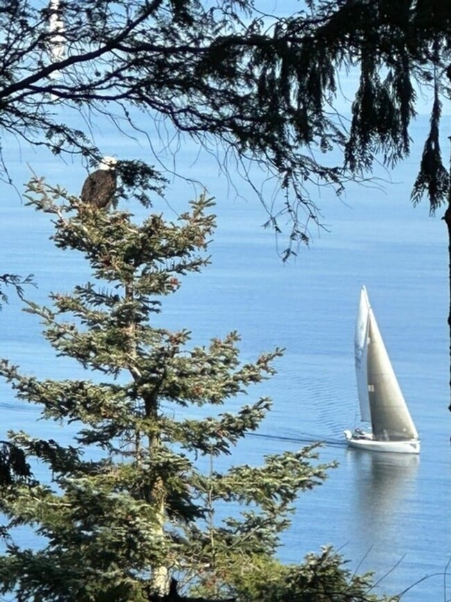 Building Photo - 392 Buck Loop Rd