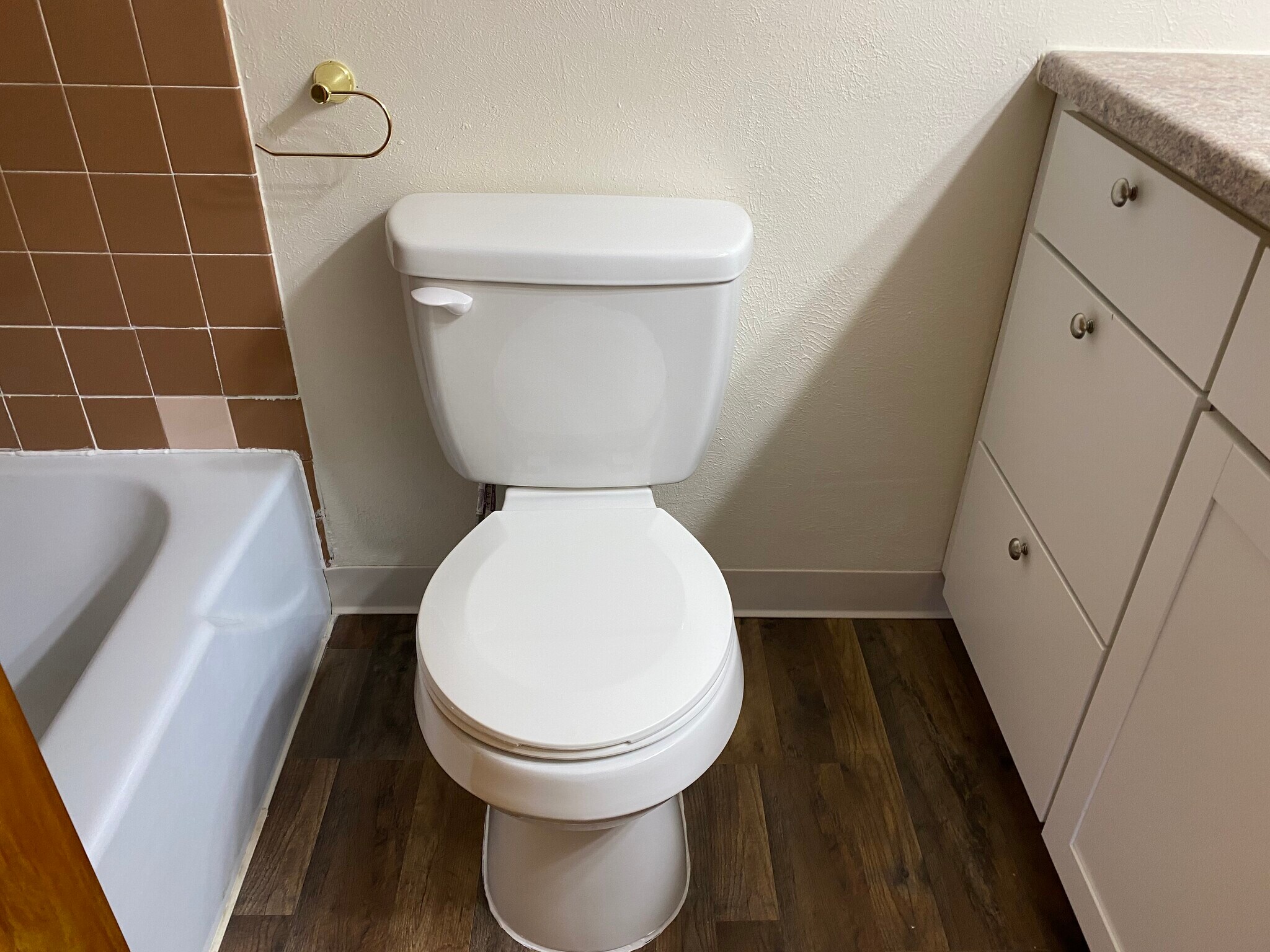 New toilet - 411 Poplar Ave