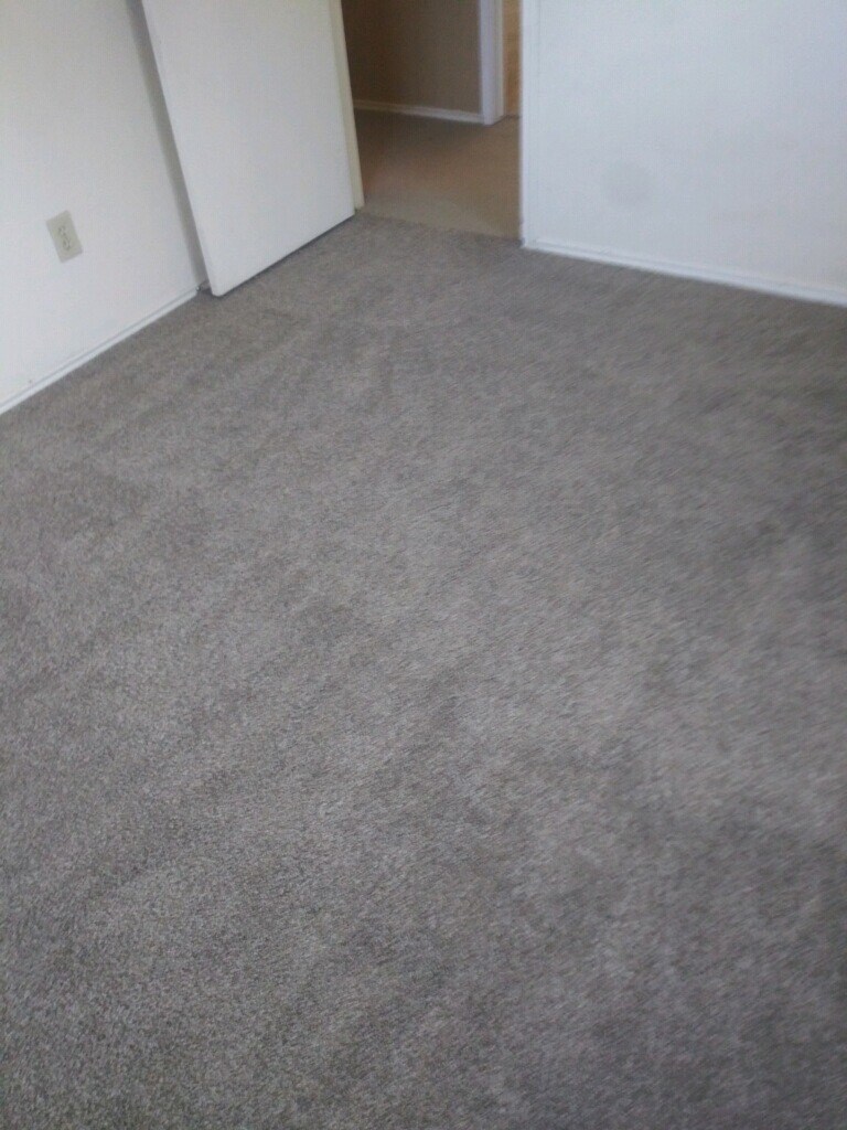 New Carpet in Bedroom 2 - 4925 Tree Top Ln