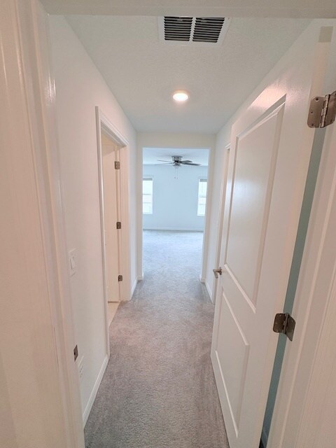 Building Photo - 10178 Honey Hammock Way