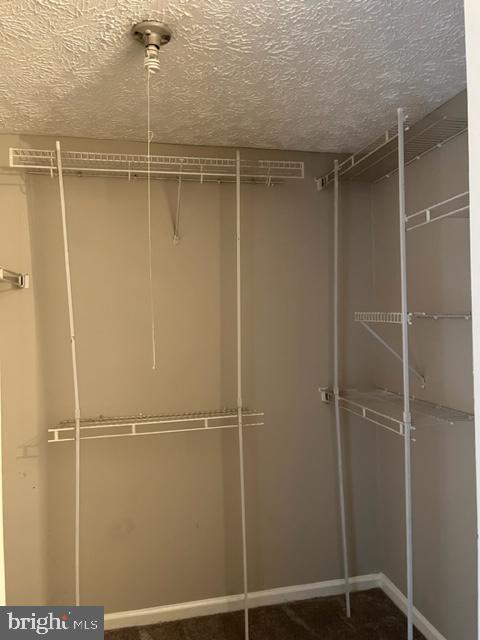 Building Photo - 3617 Laurel View Ct