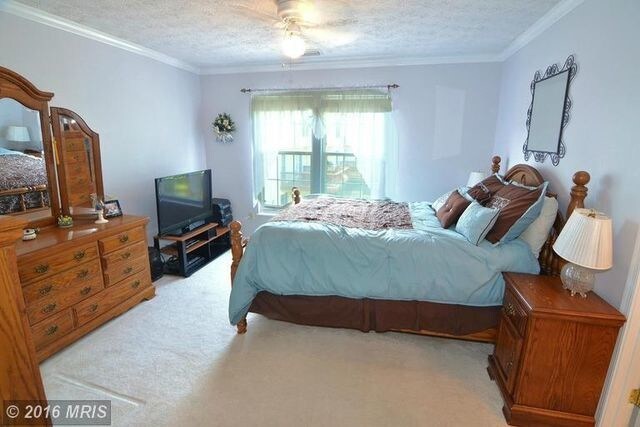 Building Photo - 8534 Pine Meadows Dr