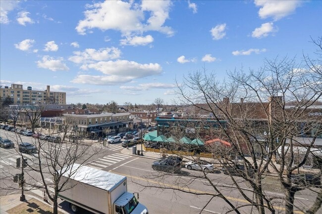 Building Photo - Large 1BR/1BA with Natural Light & Modern Finishes in Cleveland Park