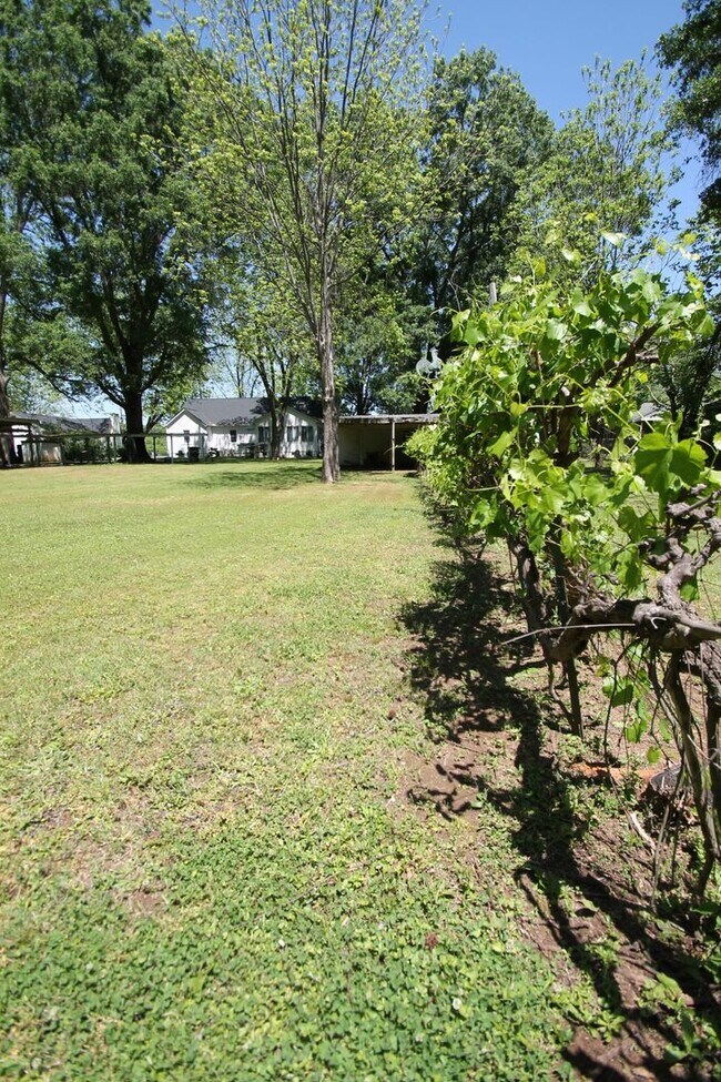 Building Photo - Exclusively Offered By Muse Realty Rentals, LLC