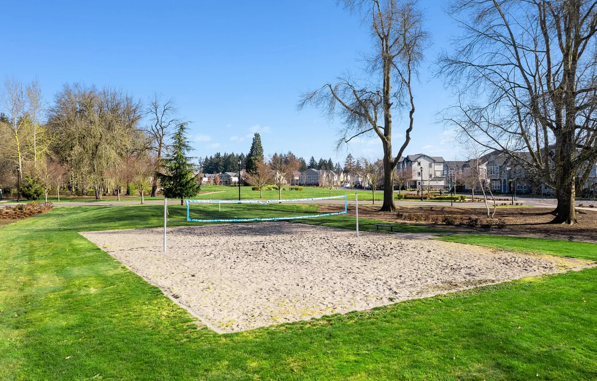 Volleyball Net - 11836 SW Palermo St