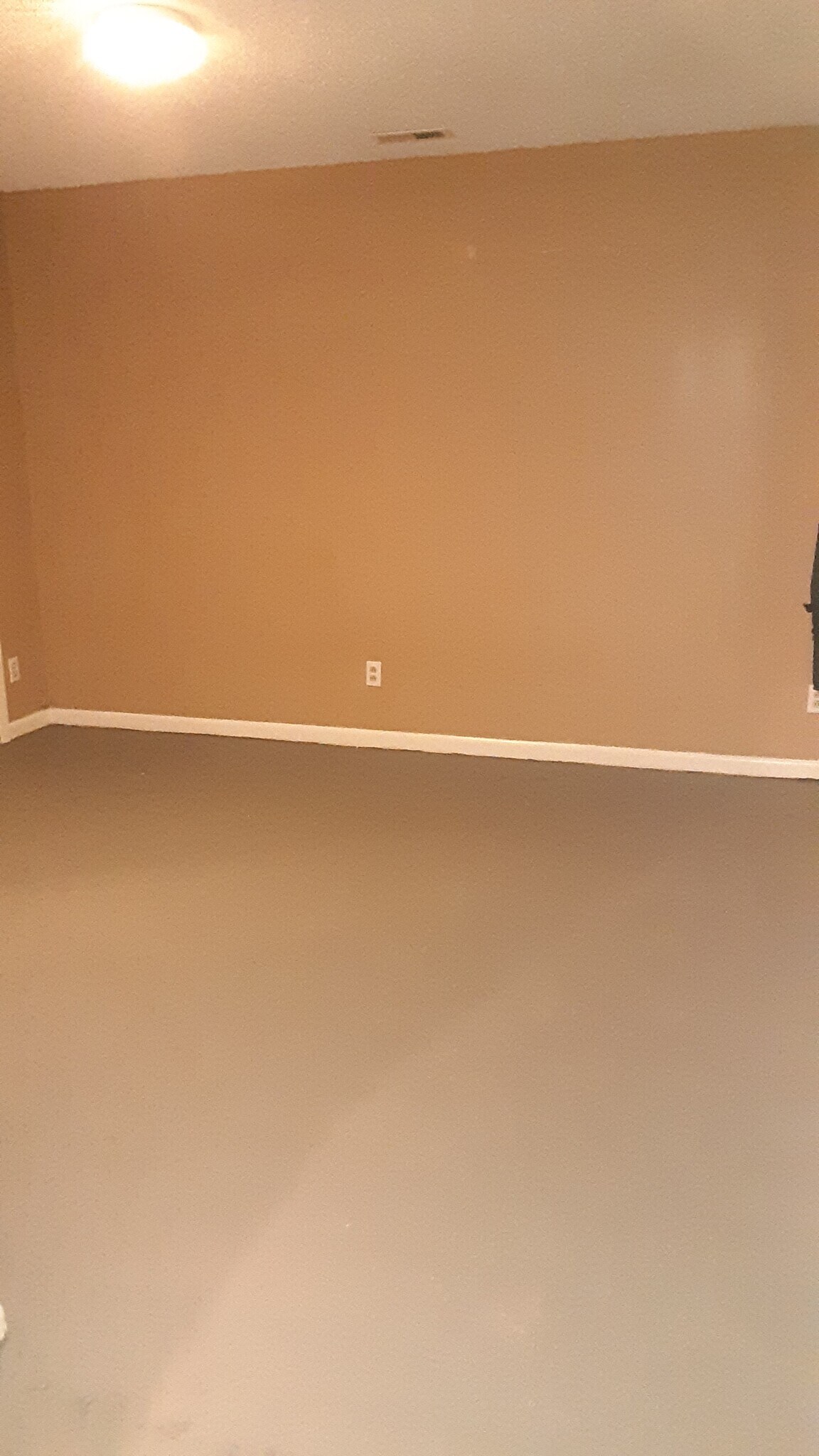 Bonus room off of utility room - 1 Britten Cir
