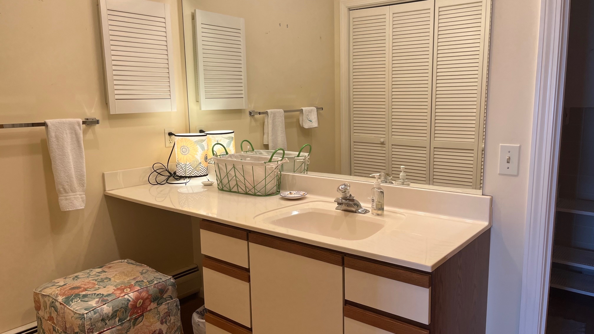 PRIMARY VANITY - 22 Northshore Dr