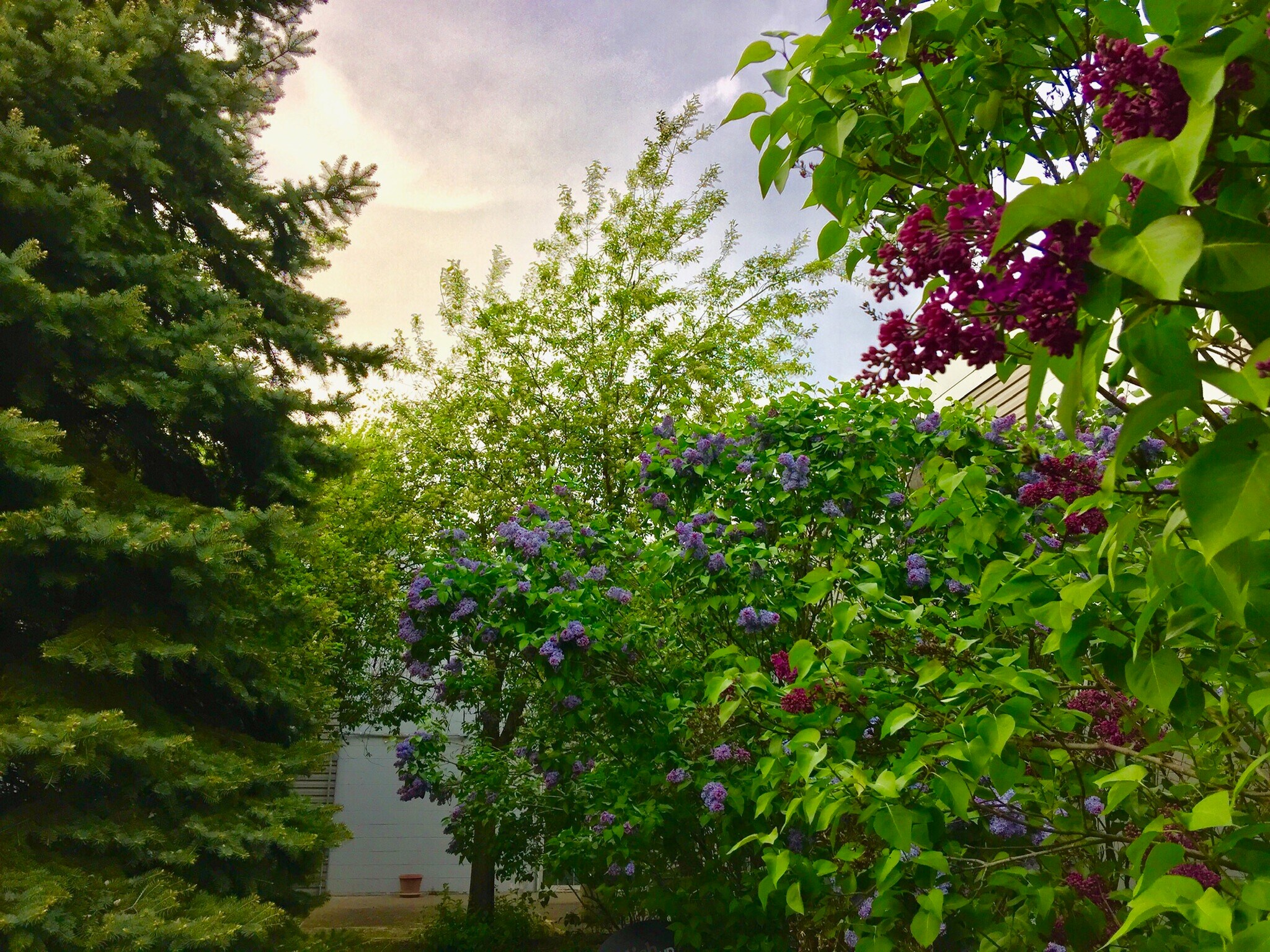 Building Photo - 1531 American Blvd E