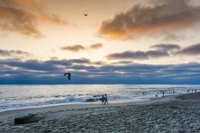 Building Photo - Gorgeous ocean view home at Windansea Beach!